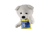 Volleyball Sticker by Draisma Dynamo