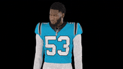National Football League Reaction GIF by Carolina Panthers