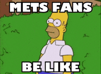 New York Mets Baseball GIF by Respective