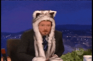 SpiritHood cat cats kitty rawr GIF