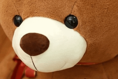 Peluche-Kingdom giphygifmaker GIF