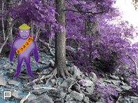 GallantPhillip designer phillipgallantmedia phillipgallant gallantphillip GIF