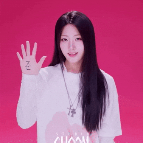 winterism kpop giphycreatortest saymyname meicitos GIF