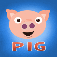 HannahtheSpanner pig pug doggy hannah the spanner GIF