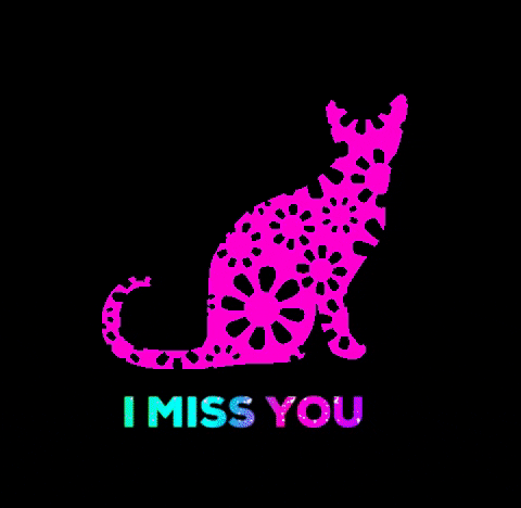 swandesign giphygifmaker cat daisy i miss you GIF