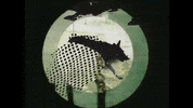Youtube Dog GIF
