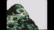 Youtube Film GIF