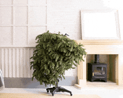 Christmastree GIF by Balsam Hill