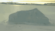 encounters at the end of the world antarctica GIF