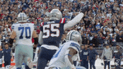 Celebrate That Way GIF by New England Patriots