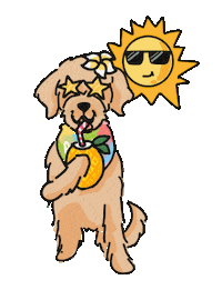 Stay Hydrated Pina Colada Sticker