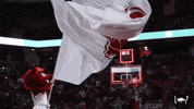 College Basketball GIF by Arkansas Razorbacks