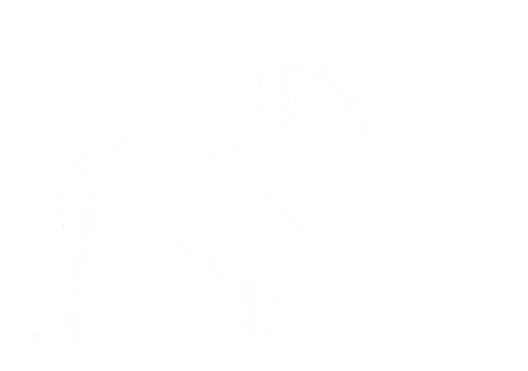 Real Estate Sticker by NextHome Real Estate Rockstars