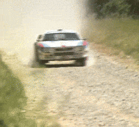 Car Gif Rally Racing GIF by FIA World Rally Championship