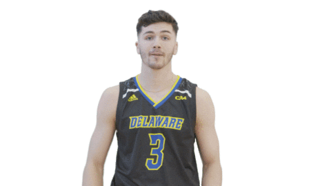 Fun Brush Off Sticker by Delaware Blue Hens