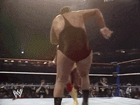 wrestlemania iii wrestling GIF by WWE