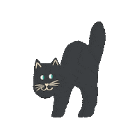 Cat Sticker by Konttiravintola Morton