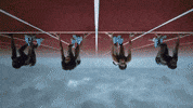 GIF by Almabrands