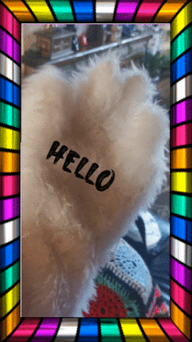 Fun Hello GIF by The Squibbles
