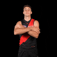 Football Sport GIF by Essendon FC