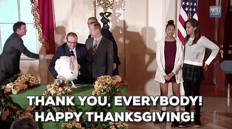 Sasha Obama Thanksgiving GIF by Obama