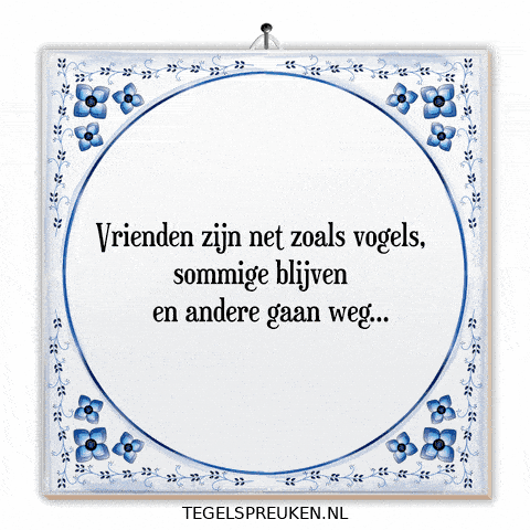 Humor Nl GIF by Tegelspreuken.nl