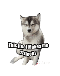 Sleepy Dog Sticker by Global Tara Entertainment