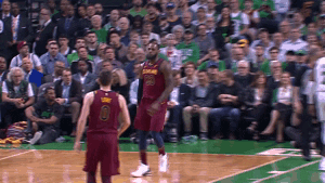 high five lebron james GIF by NBA