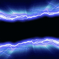 Shea Butter GIF by Tree of Life Sea Moss