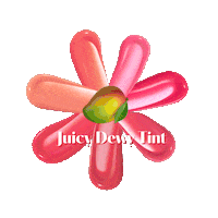 데이지크 Sticker by BY ECOM
