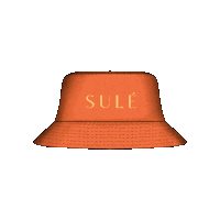 Thesulestore sule Sticker