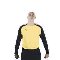 mhbofficiel sport handball vamos psg Sticker