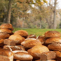 humor lol GIF by Lance Ford
