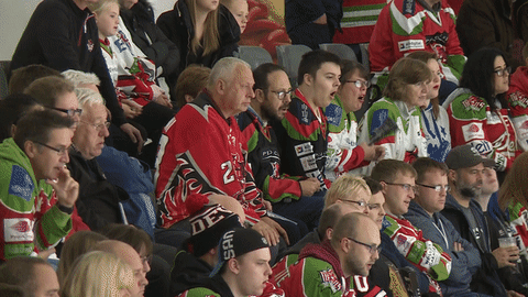 ice hockey fans GIF by Cardiff Devils