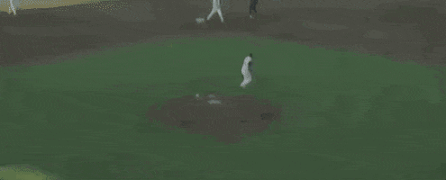 World Series Baseball GIF by NCAA Championships