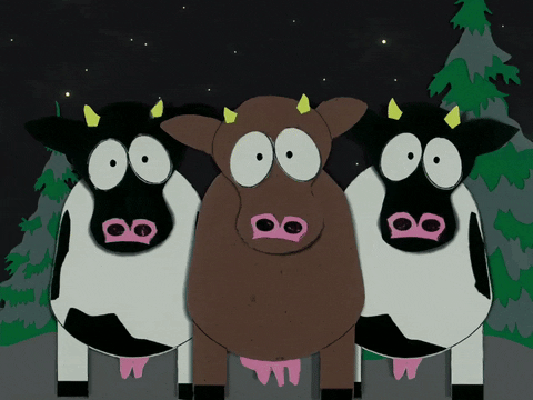 GIF by South Park 