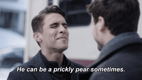 The Moodys Christmas GIF by FOX TV