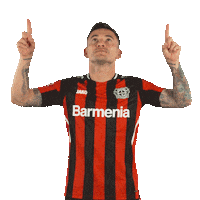 Swipe Up Bayer 04 Sticker by Bayer 04 Leverkusen