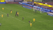 goal save GIF by nss sports