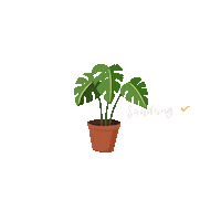 Plant Leaf Sticker