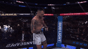 Mixed Martial Arts Sport GIF by UFC