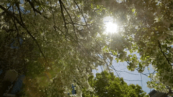 summer sun GIF by Creighton University