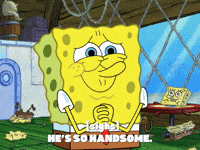 season 8 GIF by SpongeBob SquarePants