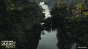 Trailer gif. A post-apocalyptic scene from the movie "Kingdom of the Planet of the Apes" shows a single eagle flying along a wide river in a vast ravine overgrown with lush greenery. The dilapidated remains of buildings can be seen peeking through the greenery along the sides of the ravines.