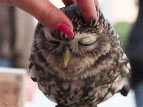 Head Massage Chilling GIF