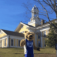 mascot happy dance GIF by Wheaton College (MA)