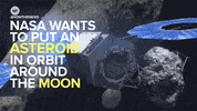 awesome news GIF by NowThis 
