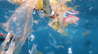 4Ocean