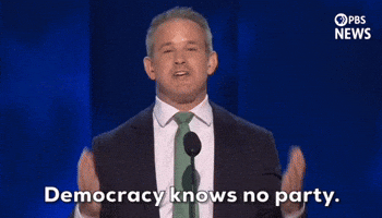 Democratic National Convention Dnc GIF by PBS News
