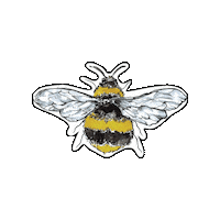 Queen Bee Sticker by LOLA + BLAKE